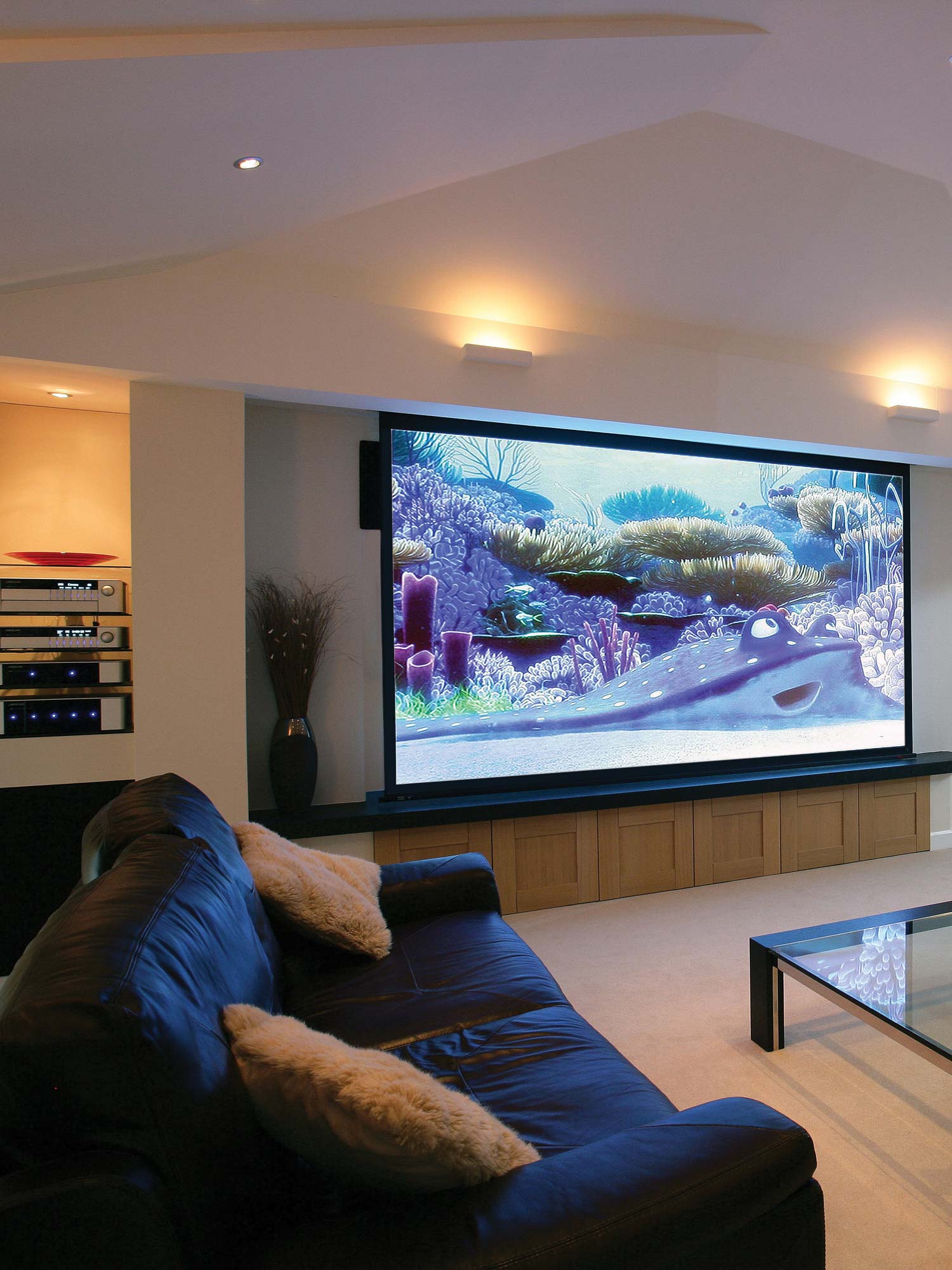 Home theater with finding nemo playing on it